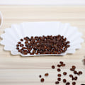 Miniatyrbillede 5 af 8: Fødevarekvalitet PP Plast Kaffebønne Display Fad Prøvebakke Opbevaringsbeholder Køkkentilbehør Hvid