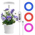 Miniatyrbild 5 av 5: Växtlampa LED för Inomhusväxter, Höjdjusterbar Växtlampa med Automatisk På/Av Timer för Små Växter ZD B2 B