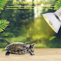Miniatyrbillede 5 af 5: Skildpaddevarmelampesæt - Infrarød varmelampe med justerbar svanehalsklemme til krybdyr og padder