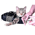 Miniatyrbild 1 av 4: Kattvård Bad Restraint Väska För Klovård Nagelklippning