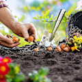Miniatyrbilde 4 av 5: Hagespade i rustfritt stål - håndspade for planting, omplanting, luking og graving