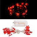 Miniatyrbild 3 av 8: 2M 20 LED Koppartråds Batteridriven Slinga Fe Lampa Jul Bröllopsdekor (Varm Vit)