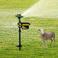 Miniatyrbild 2 av 4: Set med solcellsdriven djuravskräckare med vattenstråle I Rörelsesensor I Räckvidd 10m, Kattskrämma, 19*7*64cm