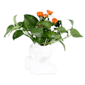Miniatyrbillede 6 af 8: Menneskeligt ansigt kunst keramisk vase udsøgt stabil hovedformet statue kunst vase til hjem bryllup kontor dekoration hvid