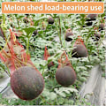Miniatyrbilde 4 av 5: Pakke med 200 Mesh Fruktposer Gjenbrukbare Mesh Poser Handlenett Egg Nettpose Frukt Nettpose For Egg Nettposer, Frukt C