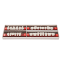 Pikkukuva 1 / 8: 28 kpl A2 Hartsi Halloween Hampaat Synteettinen hartsi hammasproteesi tekohampaat Halloween Horror Prop