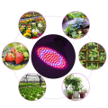 Miniatyrbillede 5 af 8: 200LED plantelys Enkelt hoved LED planter Voksende lys til have drivhus 85V-265V