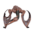 Miniatyrbillede 1 af 8: Dinosaur Legetøj Simuleret Livagtig Unik Dinosaur Model Hjemmeindretning til Børn KidPterosaur