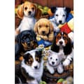 30x40cm Kit#D DIY 5D Diamond Painting, Dogs