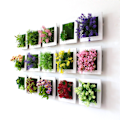 Miniatyrbild 4 av 7: 3D Stereo Väggmonterad Simuleringsväxt Fotoram Blomramar Dekoration 1A