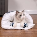 Miniatyrbild 4 av 4: Mysig kattbädd - Vintervärme för din lurviga vän S C