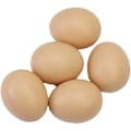 Miniatyrbilde 2 av 3: Falske egg høne kunstig fjærkrehus plast rede praktisk og praktisk-5 stk