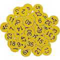 Pikkukuva 1 / 5: Kaiverretut muoviset numerolaput ilman reikää (1-100, punainen) - Osta nyt! Violetti