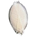 Miniatyrbilde 1 av 5: 100 stk. Naturlige skjelettblader Håndlagde Flerfargede Slanke Fargeekte Flerbruks Bokmerke Små Scrapbooking Håndverk DIY Gummitreblader Zekai Beige