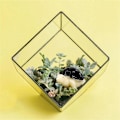 Miniatyrbillede 5 af 5: 50 STK Mini Jungle Dyr Figurer Resin Små Dyreminiaturer, A