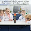 Miniatyrbild 5 av 6: Auto LED Light Egg Candler Tester - Mini Lighting Incubator for Experiment