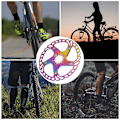Miniatyrbild 7 av 8: Cykelskivbromsrotorer 6 spikar Cykeltillbehör för Mountain Bicycle Plating Färg203MM