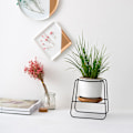 Miniatyrbillede 6 af 8: Sukkulente potter med stativholder Hvid moderne keramisk blomsterkrukkepotte Sort jernstativ Bambusbakke Hjemmekontor Indendørs dekoration