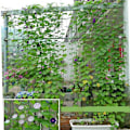 Miniatyrbillede 2 af 3: Robust klatreplante net, 1,8 * 0,9 meter, stærk støtte til grøntsager, blomster, klematis, agurker, tomater, bælgplanter, vinstokke