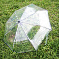 Miniatyrbillede 3 af 8: Paraply Transparent Paraply Automatisk Transparent Tri Fold Paraply