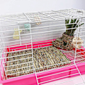 Miniatyrbillede 4 af 5: Håndvævet Naturgræsmåtte til Lille Kæledyr Tygelegetøj Seng til Hamster, Marsvin, Kanin og Papegøje