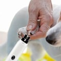 Miniatyrbilde 3 av 4: Uanstrengt Kjæledyr Neglepleieverktøy - Automatisk Elektrisk Trimmer & Poleringsmaskin for Poter - Trygg, Støyfri, Profesjonelle Resultater Hjemme