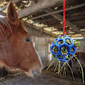 Miniatyrbilde 5 av 5: 2-pakks Hayballer for Hest, Geit, Sau, Stressreduksjon (Blå)