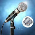 Miniatyrbild 5 av 5: 10 st Mikrofon Skruv Adapter 3/8 tum till 5/8 tum Hane Mic Gänga Silver23