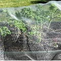 Miniatyrbillede 4 af 5: Insektbeskyttelsesnet, 6x2,5m, 60 mesh, insektnet til planter