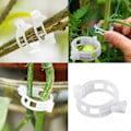 Miniatyrbillede 1 af 4: Tomat Clips Støtter - 100 stk. pakke - Forbinder Planter, Vinstokke, Bure