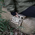 Miniatyrbillede 4 af 4: Opvarmet jagtsædehynde med smart temperaturkontrol, udendørs, bærbar, letvægts polstret sædehynde, varme sædehynder, 100% ny A