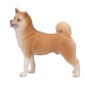 Pikkukuva 7 / 8: Eluntuntuinen koiranäyttelymalli, erittäin simuloitu eläinhahmo lelu keräilyyn ja koristeluun Shiba Inu