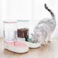 Miniatyrbild 2 av 5: Gravity Mat- och Vattenbehållare Set för Hundar Katter Automatisk Matare 2-pack