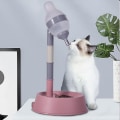 Miniatyrbild 4 av 5: Universal Automatisk Dricksvattenmatare för Hundar - Lyftbar Dispenser Skål Flask Grön