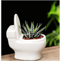 Miniatyrbild 1 av 5: Rolig Keramisk Suckulentformad Blomkruka Söt Keramisk Vas Blomkruka Bonsai Blomkruka Heminredning Blomkruka Mini Skrivbordsdekoration