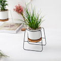 Miniatyrbillede 2 af 8: Sukkulente potter med stativholder Hvid moderne keramisk blomsterkrukkepotte Sort jernstativ Bambusbakke Hjemmekontor Indendørs dekoration