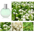 Miniatyrbilde 2 av 5: 50ml Toilette Spray Langvarig Blomsterduft Frosted Flaske Kroppsparfyme for kvinner Riley