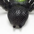 Miniatyrbilde 4 av 5: Fargerike Simuleringsstore Edderkopp Halloween-rekvisitter