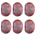 Miniatyrbilde 4 av 8: 6 STK/ Sett Tuning Pegs Maskinhoder Akrylknapper for gitar(#5)