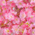 Miniatyrbilde 7 av 8: 1,8 m 256 Simulert Kunstig Sakura Blomster Girlander Henge Vinstokker for Vår Hjem Rom Bryllupsfest Dekor Mørk Rosa