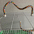 Miniatyrbild 3 av 5: Fågelrep-pinnar Bungee-leksaker för papegojor 15,7 och 31,5 tum Set med 2