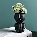 Miniatyrbild 3 av 4: Nordic Style Black Face Blomkruka Succulent Planter
