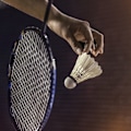Miniatyrbillede 6 af 8: 12 stk. High Speed Andefjer Badmintonbolde Shuttlecocks Udendørs Indendørs Træningskonkurrence
