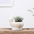 Miniatyrbild 3 av 5: Modern Keramisk Blomkruka för Sukkulenter, Kaktusar och Bonsaiträd
