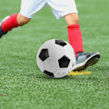 Miniatyrbillede 8 af 8: Fodbold Sort Hvid Fodbold Interaktivt Spil Kamp Til Indendørs Udendørs Træning Holdtræning