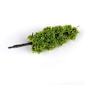 Miniatyrbillede 5 af 5: 8 x Pagodetræer Model Togbane Landskab 1/150 20 stk. Mørk og Lys Grøn
