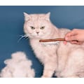 Miniatyrbilde 3 av 3: Trehårkam for kjæledyr i tre for katter, hunder og kaniner - Langt hår, løsner floker, fjerner løs pels