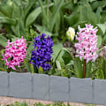 Miniatyrbillede 5 af 5: 10 stk. Kantafgrænsning til Have og Græsplæne i Stenlook Grå 245cm Blomsterbede Sammenlåsende System Fleksibel Kantafgrænsning Hegn