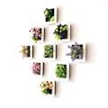 Miniatyrbilde 4 av 8: 3D Stereo Veggmonterte Simulering Plante Fotoramme Blomsterrammer Dekorasjon 38A