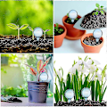 Miniatyrbillede 5 af 5: Automatisk vandingsdrypper til blomsterplanter 1,96\" diameter (Klar) 12 stk. FARVE2
